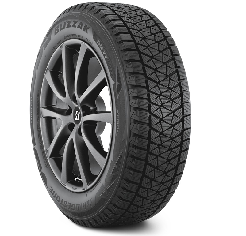 Bridgestone Blizzak DM-V2